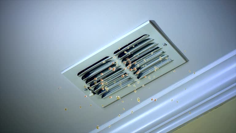 Air Duct Mold Removal in Del Aire, CA