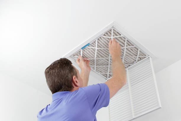 Best Air Quality Test  in Del Aire, CA